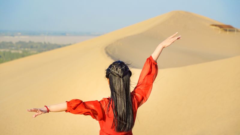 旅游舆情监测系统如何帮助企业洞察市场动态