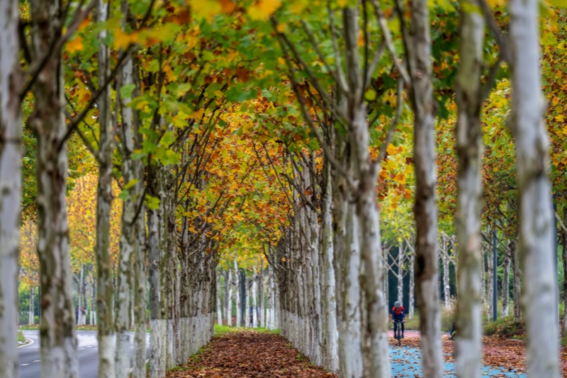 三明市最新舆情怎么获取？