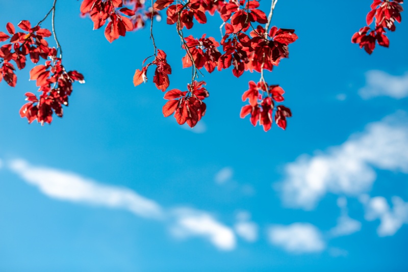 财务舆情隐患点解析