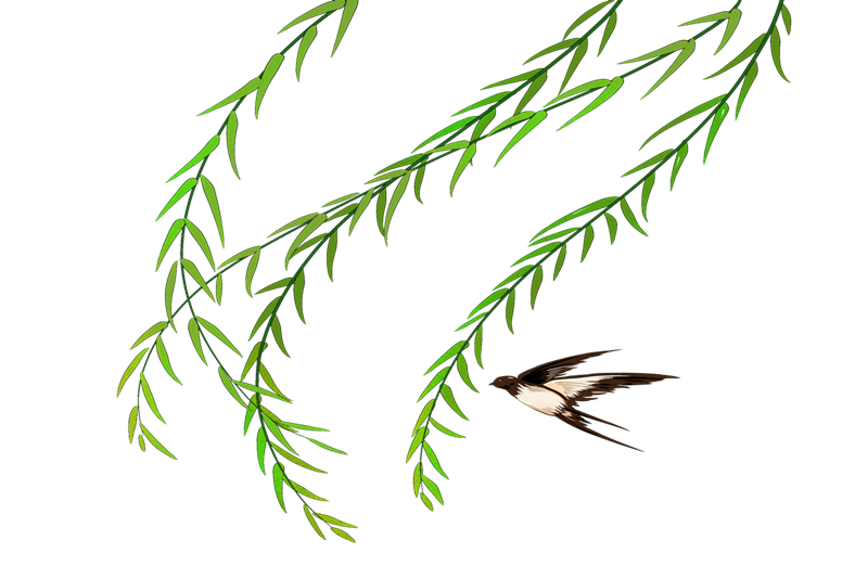/image/26af200c-21fe-44aa-8032-0e464220d042