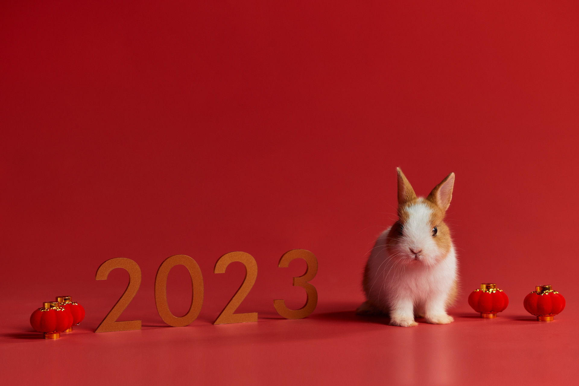 /image/272ee620-2f70-43b9-afb7-db702dfcf6d2