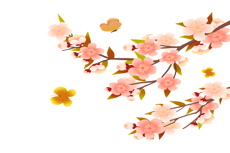 /image/27cd7e69-fd94-40a8-b4fe-09d51e5d890c