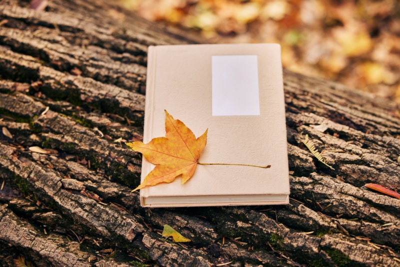 圣诞节舆情应对怎么做？