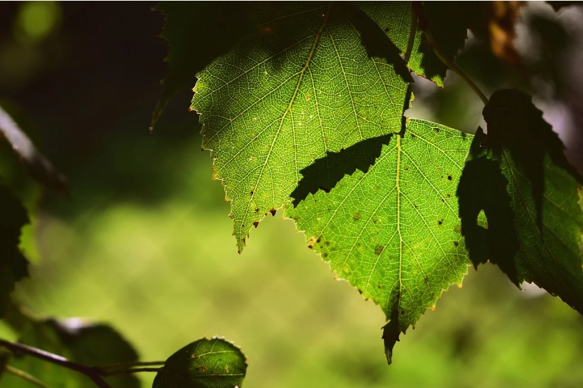 燃气公司最容易产生的负面舆情分类