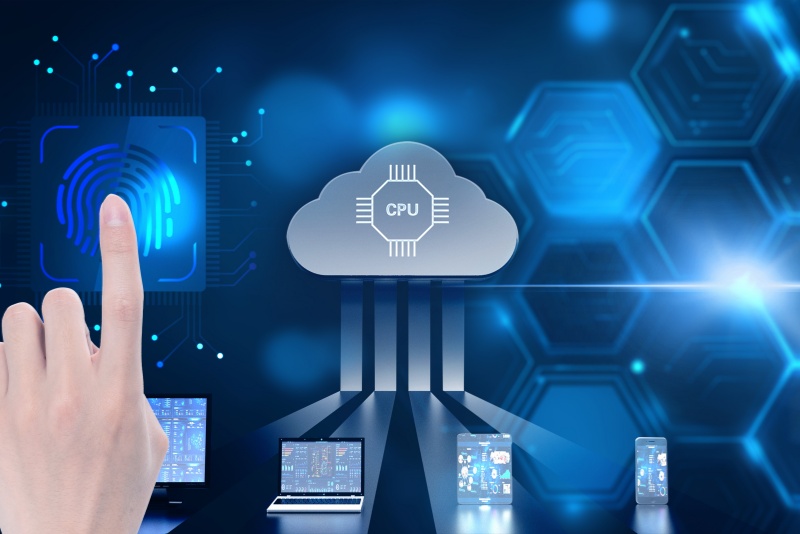 网络舆情展示怎么做？