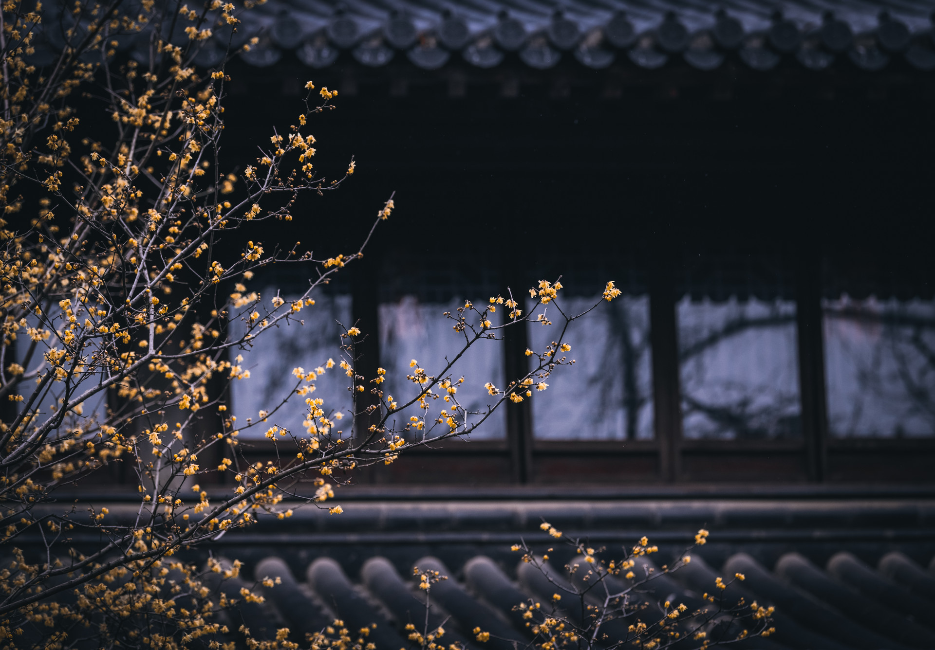 /image/5e0b8088-6b44-4a32-adc8-ddff1b0290fa