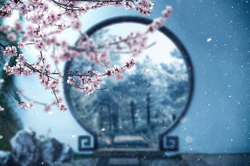 /image/68a6c2c7-57b0-459b-9612-5a46ca8e7252