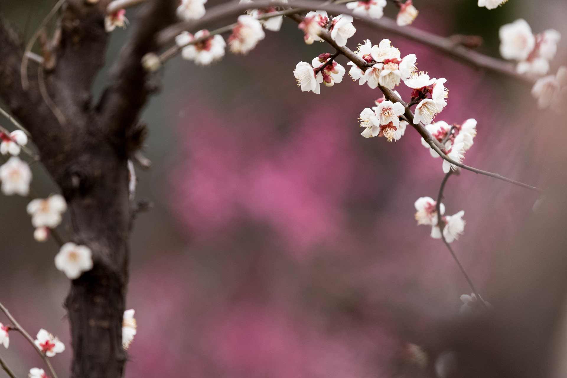 /image/6a365039-f7e9-4ed6-869b-aefc8378009f