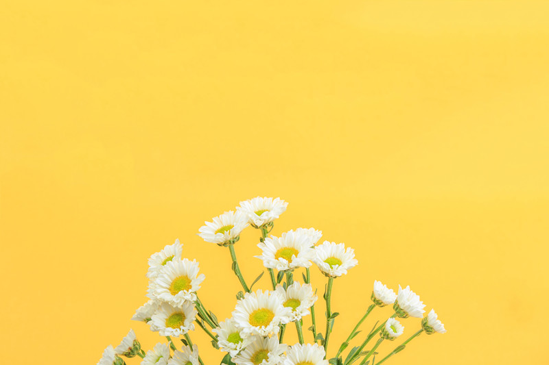 /image/6fd452db-c658-4db8-8467-13d9f056b135