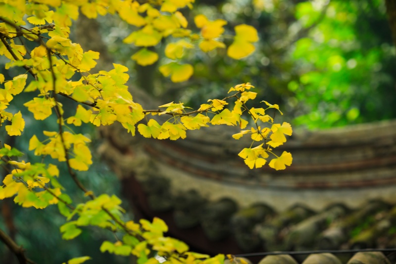 企业应对舆情的过程中注意事项