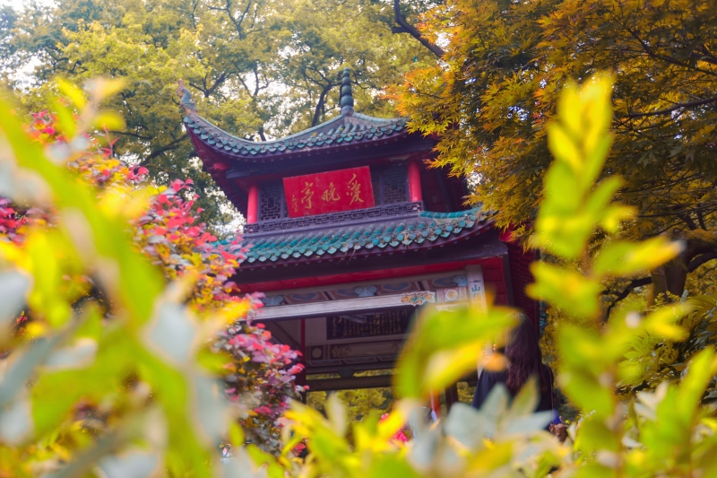 五一舆情监控系统哪个好用还能免费试用？