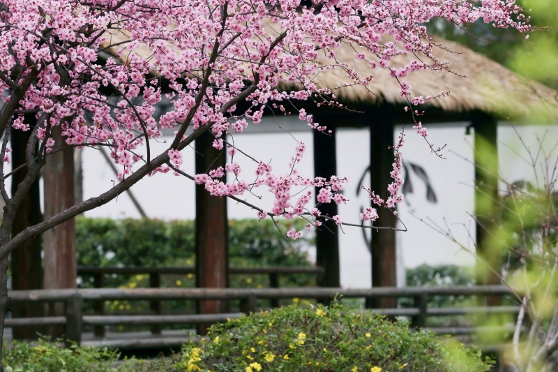 3月企业舆情监测怎么做？附解决方案！