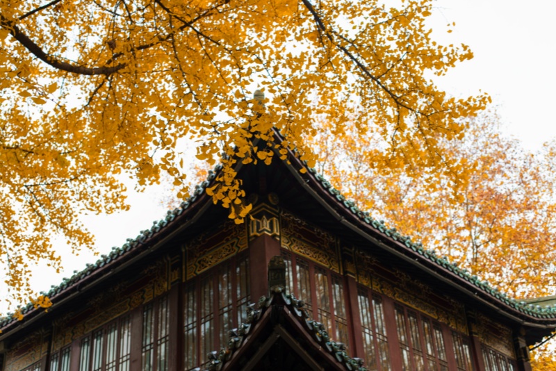 舆情预警要预警什么多久预警一次比较好？