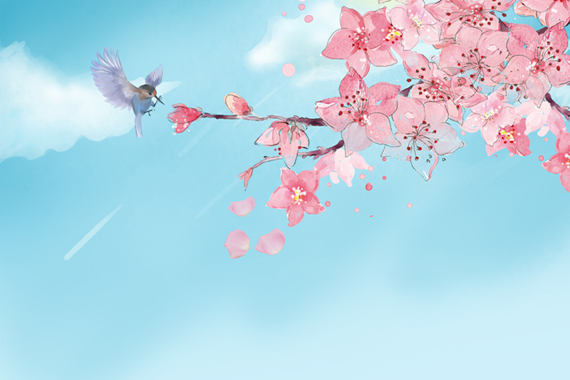 /image/a66cb14a-aa17-459a-b84d-71851b0c3b87