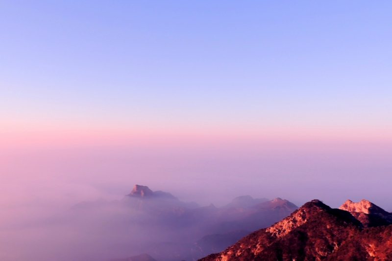 山东舆情处置方式_方法