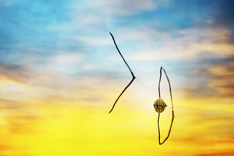 /image/d1ed2f36-68f8-4927-b06a-7627614f2432