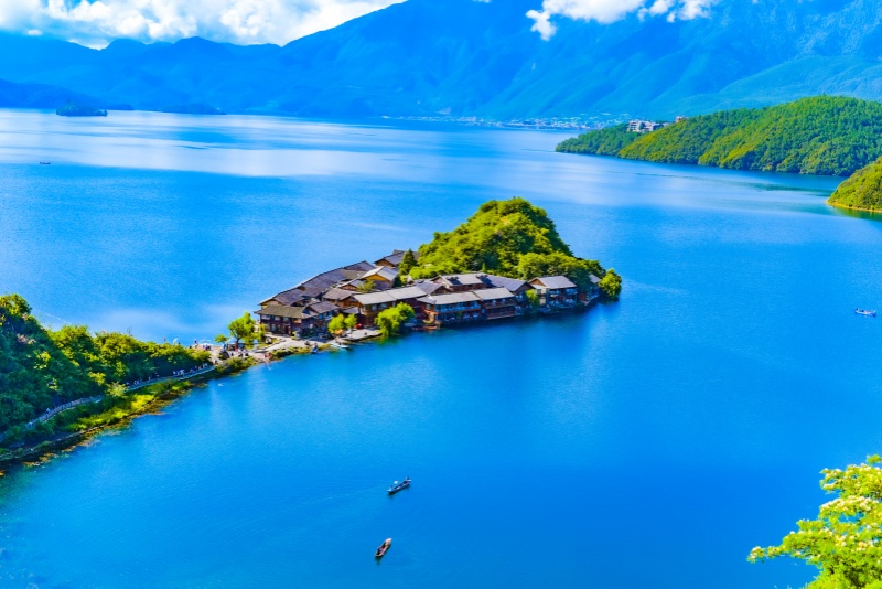 舆情公开说明怎么写？