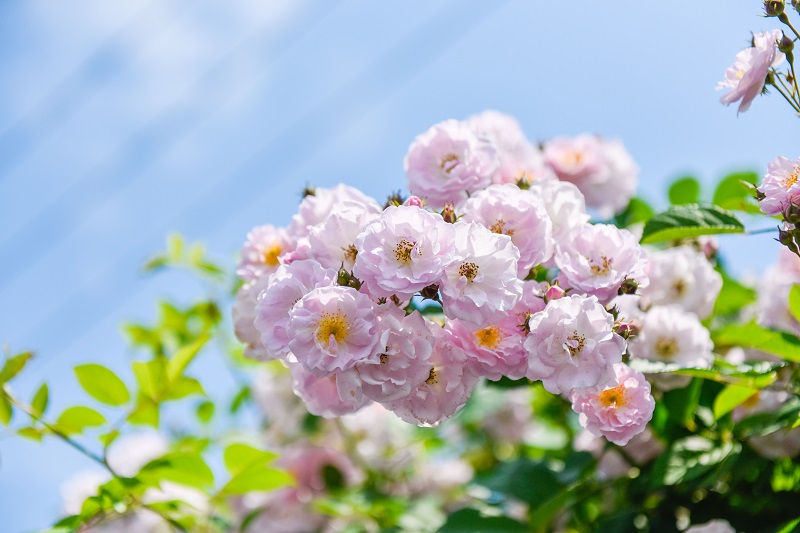 /image/d979546f-2c57-4ff4-90f2-d4dd3e4ab92e