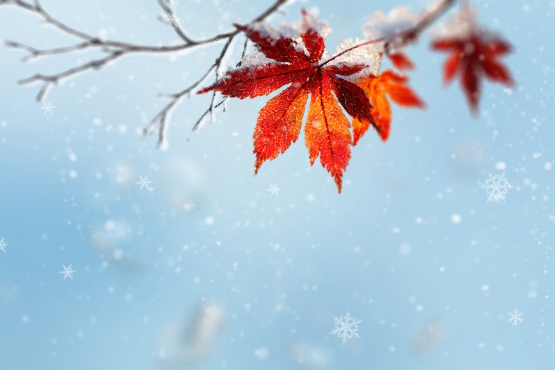 项目舆情调研主要内容