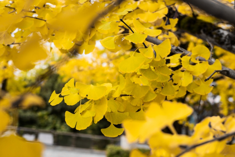 互联网舆情的产生与控制分析