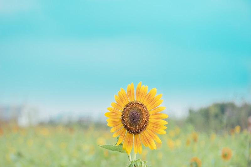 /image/e6762c21-38a6-4792-b97e-3c95a088629e