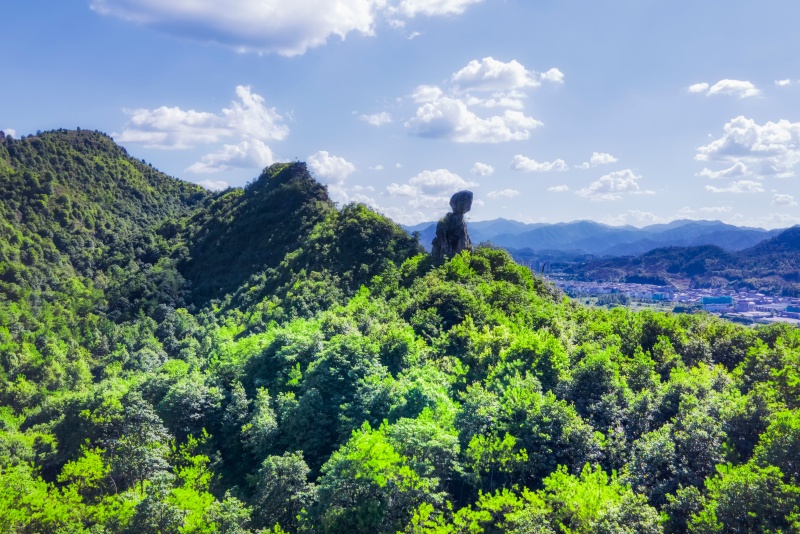 涉农网络舆情应对措施