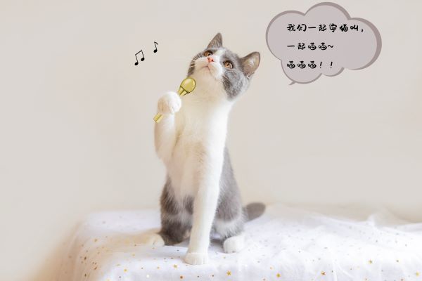 /image/f8a7b6a7-7252-4cc0-a865-1fdefed63260